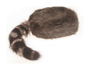 Coonskin Cap