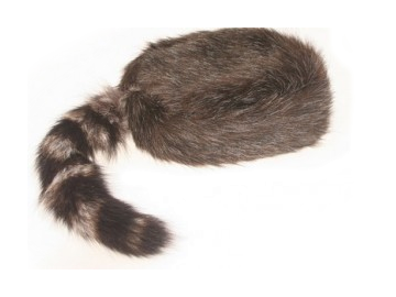 Coonskin Cap